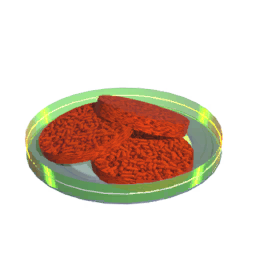 Animal Food T3