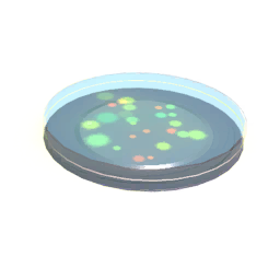 Bacteria Sample