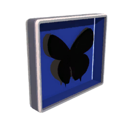 Butterfly Display Box