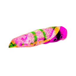 Butterfly Larvae Faleria
