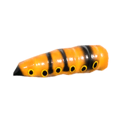 Butterfly Larvae Fensea