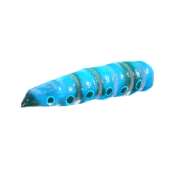 Butterfly Larvae Galaxe