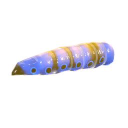 Butterfly Larvae Liux