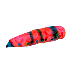 Butterfly Larvae lmeo