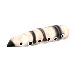 Butterfly Larvae Penga