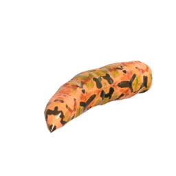 Common Larva