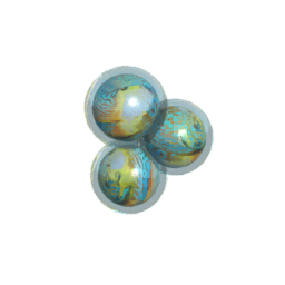 Fish15 Eggs