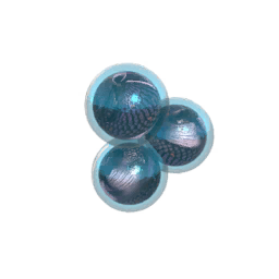 Fish Eggs Khrom