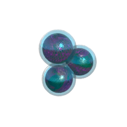 Fish Eggs Ulani