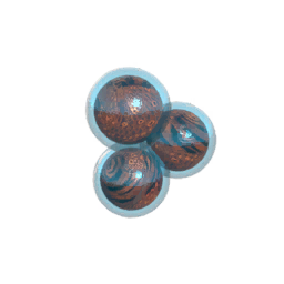 Fish Eggs Velkia