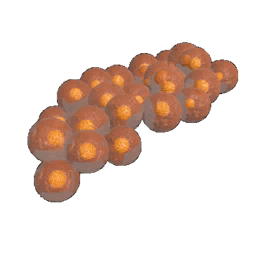 Frog11 Eggs