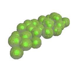 Frog13 Eggs