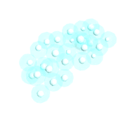 Frog15 Eggs