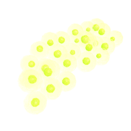 Frog16 Eggs