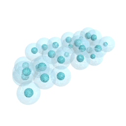 Frog5 Eggs