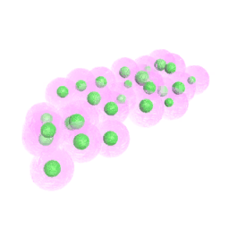 Frog6 Eggs