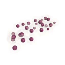 Frog7 Eggs