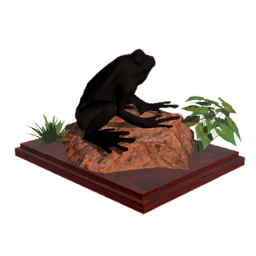Frog Displayer T1