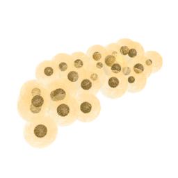 Frog Gold Eggs
