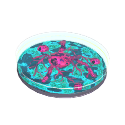 Mutagen T1