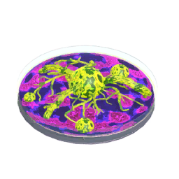 Mutagen T2