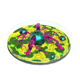 Mutagen T4
