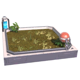 Outdoor Farm