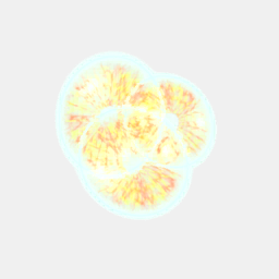 Phytoplankton A
