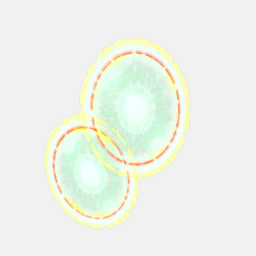 Phytoplankton B