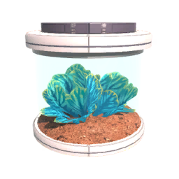 Seed T2