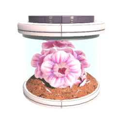Seed T3