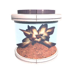 Seed T6
