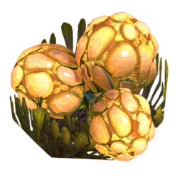 Toxic Spores