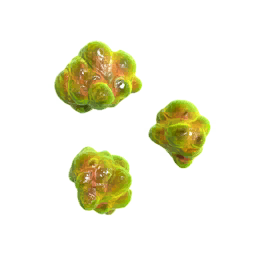 Toxins