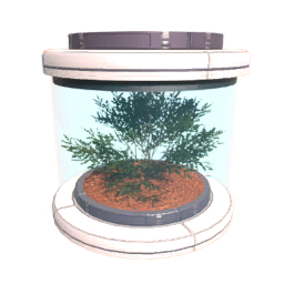 Tree0 Seed