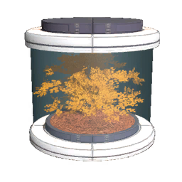 Tree11 Seed