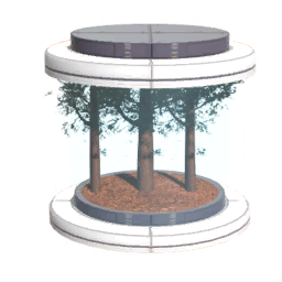 Tree15 Seed