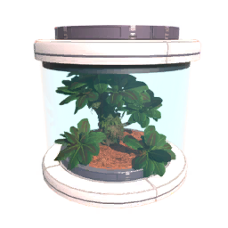 Tree1 Seed