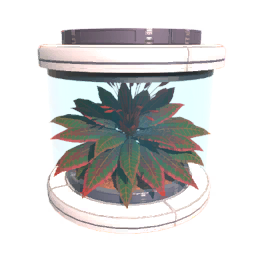 Tree3 Seed