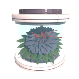 Tree4 Seed