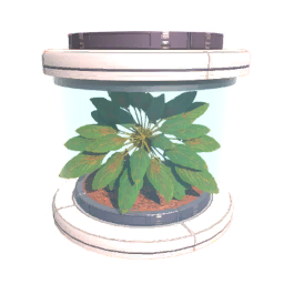 Tree7 Seed