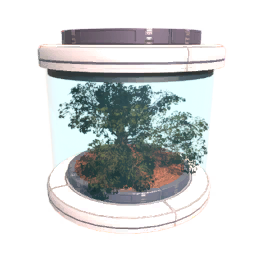 Tree8 Seed