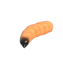 Uncommon Larvae